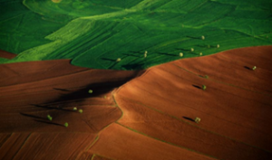 &ldquo;We are receiving a free subsidy from nature, but it will not continue indefinitely&rdquo; &ndash; Louis Verchot