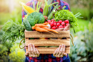 Experts Push for Organic-Biotech Partnership for Sustainable Agriculture