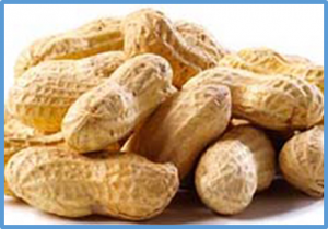 Detection of two homologous major QTLs and development of diagnostic molecular markers for sucrose content in peanut