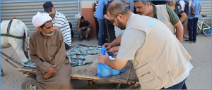 Gaza: FAO delivers more than 2 400 veterinary kits to protect livestock and sustain livelihoods