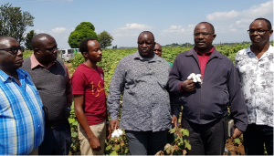 Ugandan Legislators Call For Fast Tracking Of Commercialization Of Bt Cotton In Kenya