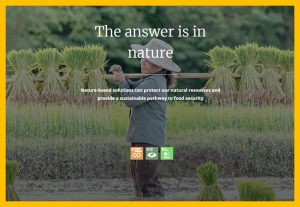The answer is in nature