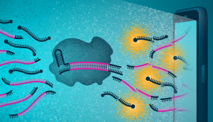 COVID-19 Test Uses CRISPR and Smartphone Camera