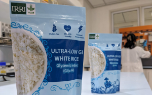 IRRI Researchers Identify Genes and Markers for Low Glycemic Index and High Protein in Rice