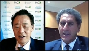 FAO and IRENA seek to increase renewable energy and drive food system transformation in rural communities