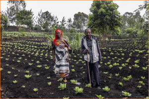 Conflict and rising food prices drive Congolese into one of the world`s worst food crises according to new IPC data