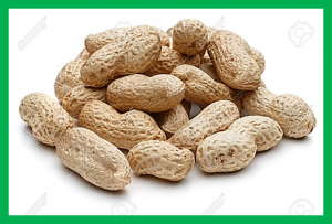 High-density SNP map facilitates fine mapping of QTLs and candidate genes discovery for Aspergillus flavus resistance in peanut (Arachis hypogaea)