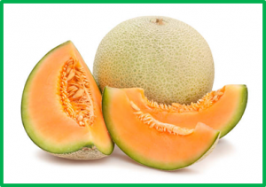 Melon shoot organization 1, encoding an AGRONAUTE7 protein, plays a crucial role in plant development