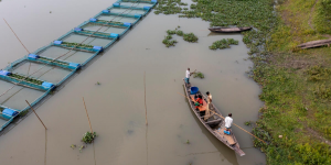 FAO Report: Global fisheries and aquaculture production reaches a new record high