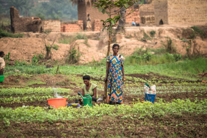 Scale of acute hunger in the Democratic Republic of the Congo “staggering”, FAO, WFP warn