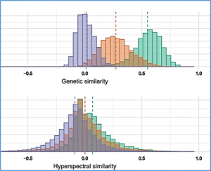 Early prediction of biomass in hybrid rye based on hyperspectral data surpasses genomic predictability in less-related breeding material