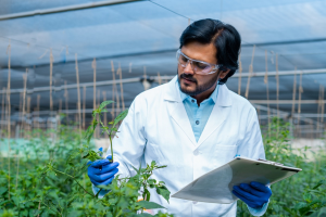 India`s DBT to Enhance Genome Editing Capacity of Scientists Through Research Grants
