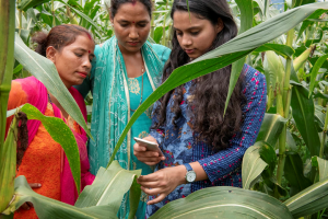 Big data and new technology can help us understand and respond to climate change and conflict risks &ndash; here`s how 