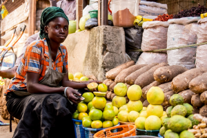 Genome Editing Can Help Achieve UN Sustainable Development Goals