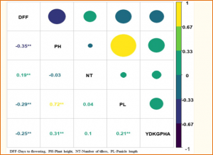 Improving blast resistance of maintainer line DRR 9B by transferring broad spectrum resistance gene Pi2 by marker assisted selection in rice
