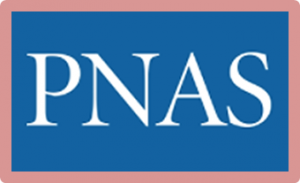 To eat, or not to eat, that is the question: Neural stem cells escape phagocytosis in autism with macrocephaly