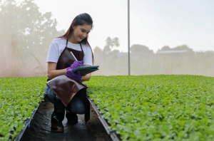 Book Tackles Genome Editing Techniques for Climate-Smart Crops