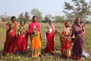 Empowering Tribal Women Farmers: ICRISAT`s International Women`s Day Celebration in Odisha