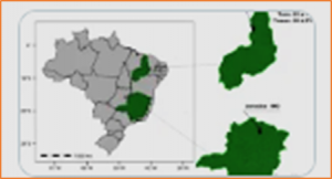 Genetic loci associated with sorghum drought tolerance in multiple environments and their sensitivity to environmental covariables