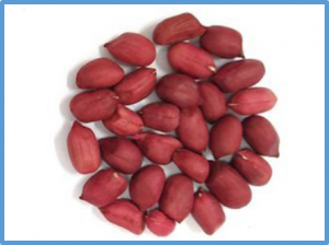 BSA seq and genetic mapping reveals AhRt2 as a candidate gene responsible for red testa of peanut