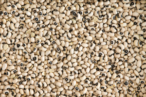 Ghana Releases GM Cowpea for Commercial Cultivation