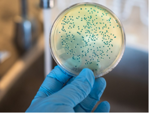 Enzyme Engineering Boosts Super-precise CRISPR Tool