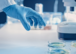 CRISPR Gene Editing Stops COVID-19 from Replicating in Infected Human Cells
