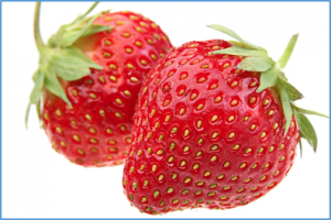 Novel Fusarium wilt resistance genes uncovered in natural and cultivated strawberry populations are found on three non-homoeologous chromosomes