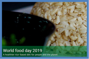 Feeding the world while caring for the planet