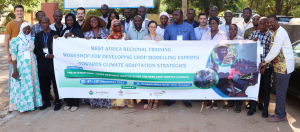 Nurturing Agricultural Resilience: Crop Modelling and Climate Strategies Unveiled at Senegal Workshop