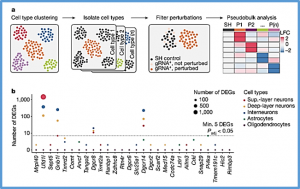 Transcriptional linkage analysis with in vivo AAV-Perturb-seq