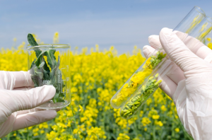 Report Shows Positive Growth for the Agricultural Biotechnology Market