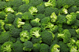 MitoTALENs Restore Fertility of Ogura Cytoplasmic Male Sterile Broccoli