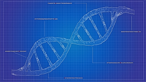 Computational Biology Experts Expand Genome Editing Applications