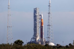 MSU to Send Amino Acid-Enriched Plant Seeds to Space
