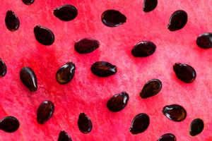 Genome-wide association analysis provides molecular insights into natural variation in watermelon seed size