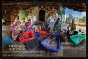 NATURE+ in India: Country Report 2022-2024