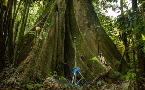 Science and Culture: Artists and scientists come together to explore the meaning of natural sound