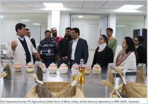 Advancing state goals with better rice varieties: Bihar Principal Secretary of Agriculture visits IRRI SARC