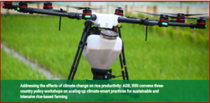 Addressing the effects of climate change on rice productivity: ADB, IRRI convene three-country policy workshops on scaling-up climate-smart practices for sustainable and intensive rice-based farming