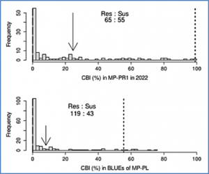 Wheat (Triticum aestivum) chromosome 6D harbours the broad spectrum common bunt resistance gene Bt11