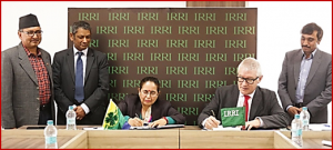 IRRI inks MoU furthering research cooperation with Nepal`s Agriculture & Forestry University