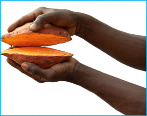 How to ensure access to healthy diets for all: a clarion call for One CGIAR