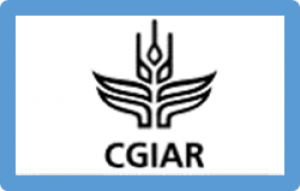Migration and Gender Dynamics in Irrigation Governance in Nepal