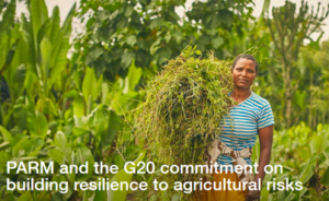 PARM and the G20 commitment on building resilience to agricultural risk