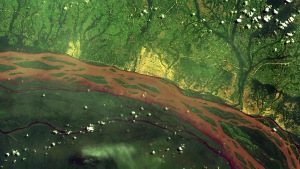 Global deforestation slowing but tropical rainforests remain under threat, key FAO report shows