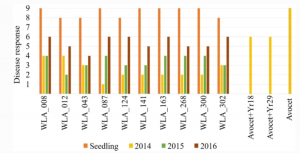 Mining the Vavilov wheat diversity panel for new sources of adult plant resistance to stripe rust