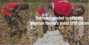 Nigeria Needs More Community Engagement On Gm Cotton From Agricultural Extension Workers