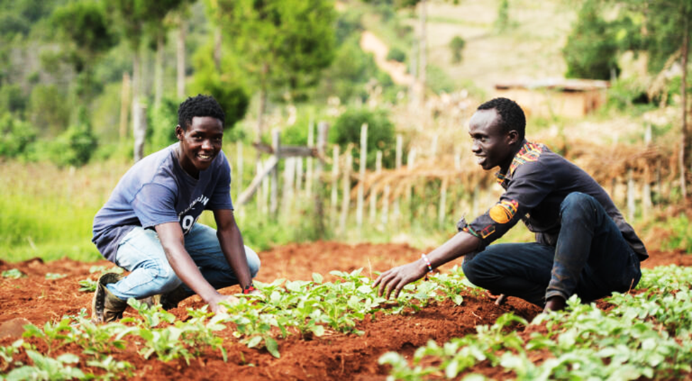 Africa&rsquo;s youth and the future of food: IFPRI&rsquo;s Key takeaways from AFS Forum 2025