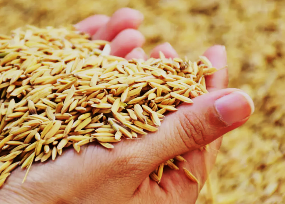 Agricultural innovation as strategic investment for the U.S. (Agri-Pulse)